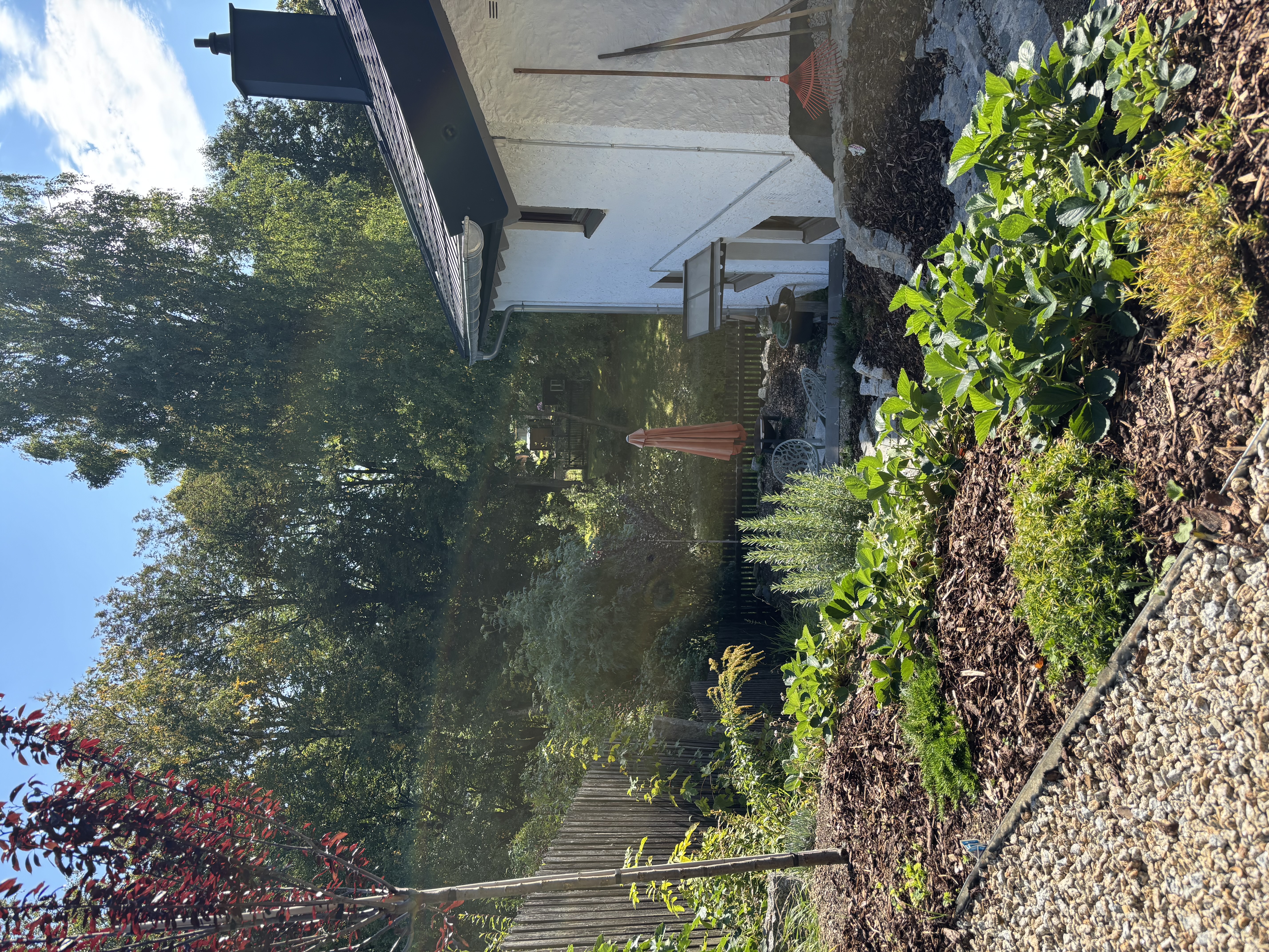 Außenansicht des Ferienhauses